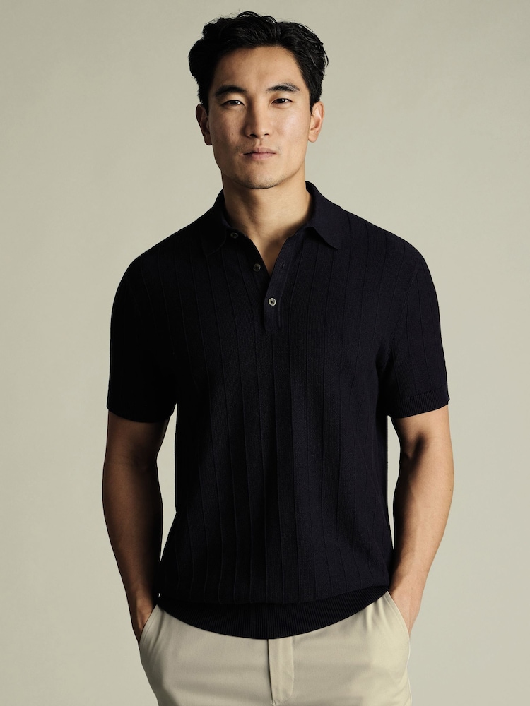 Charles Tyrwhitt Blue Stripe Short Sleeve Button Neck 100% Cotton Polo shirt - Image 1 of 5