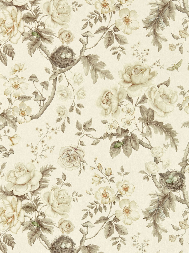 Sanderson Oyster Tansy Bloom Giles Deacon Wallpaper Sample - Image 1 of 1