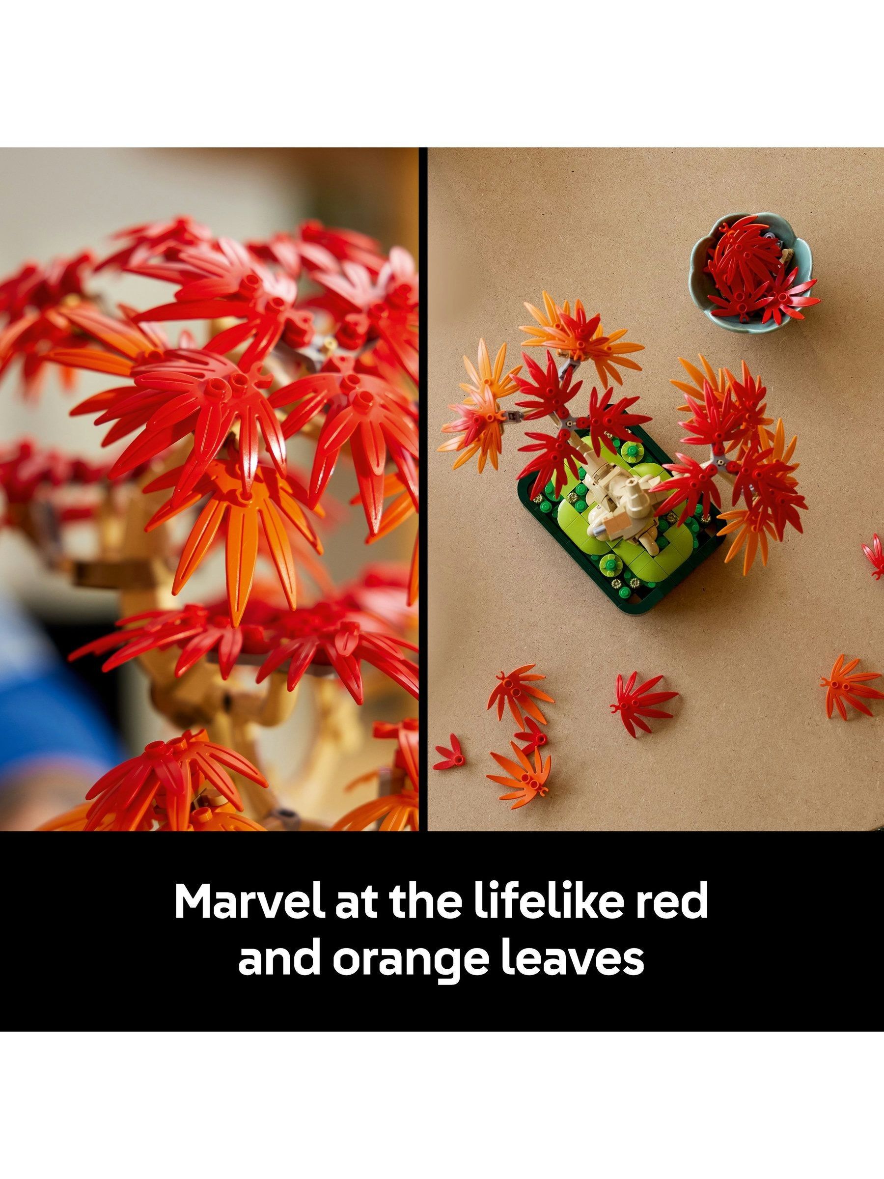 Buy LEGO Botanicals Japanese Red Maple Bonsai Tree DIY Set 10348