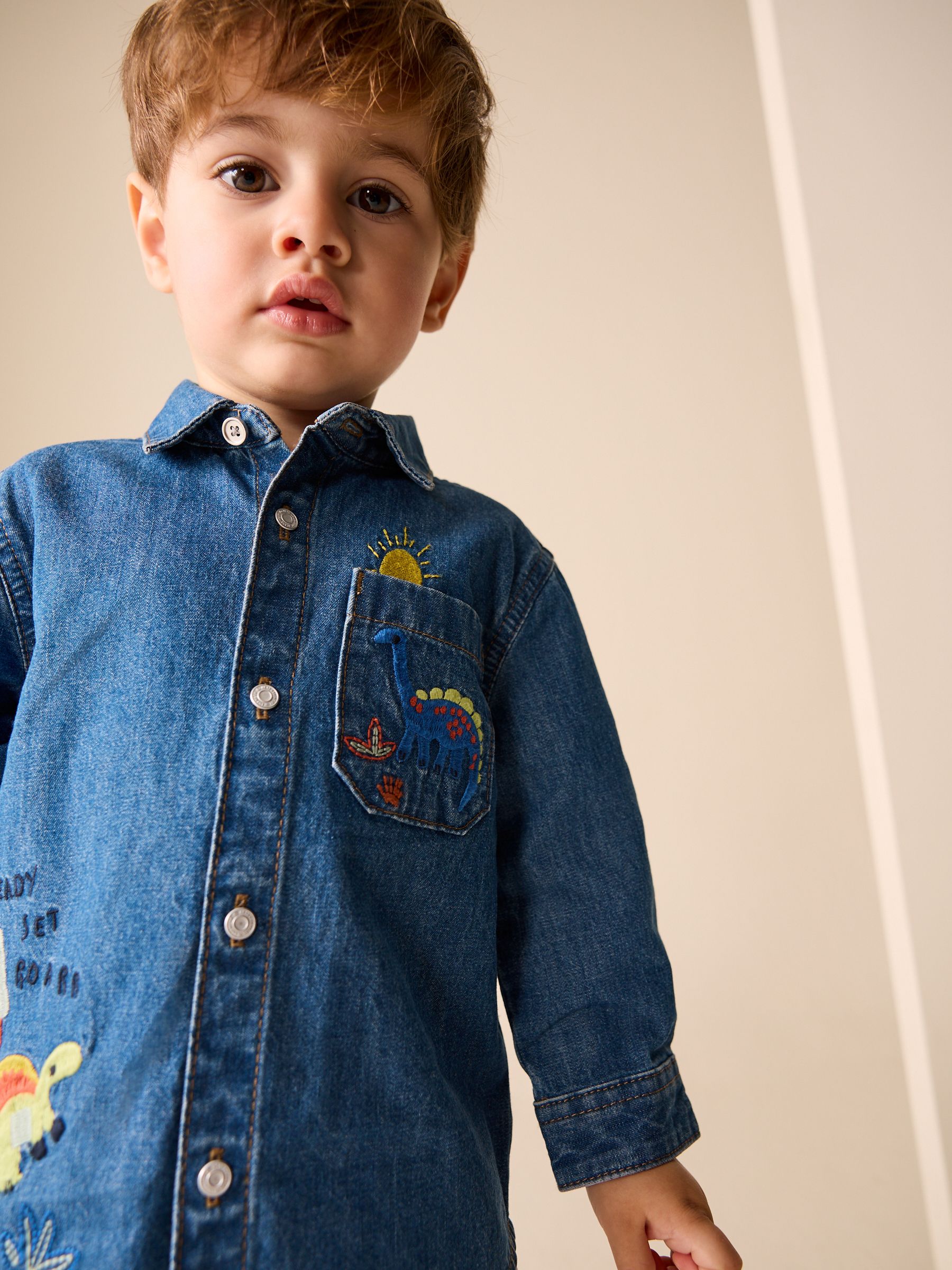 Buy Blue Dino Embroidery Long Sleeve Denim Shirt (3mths-7yrs) from