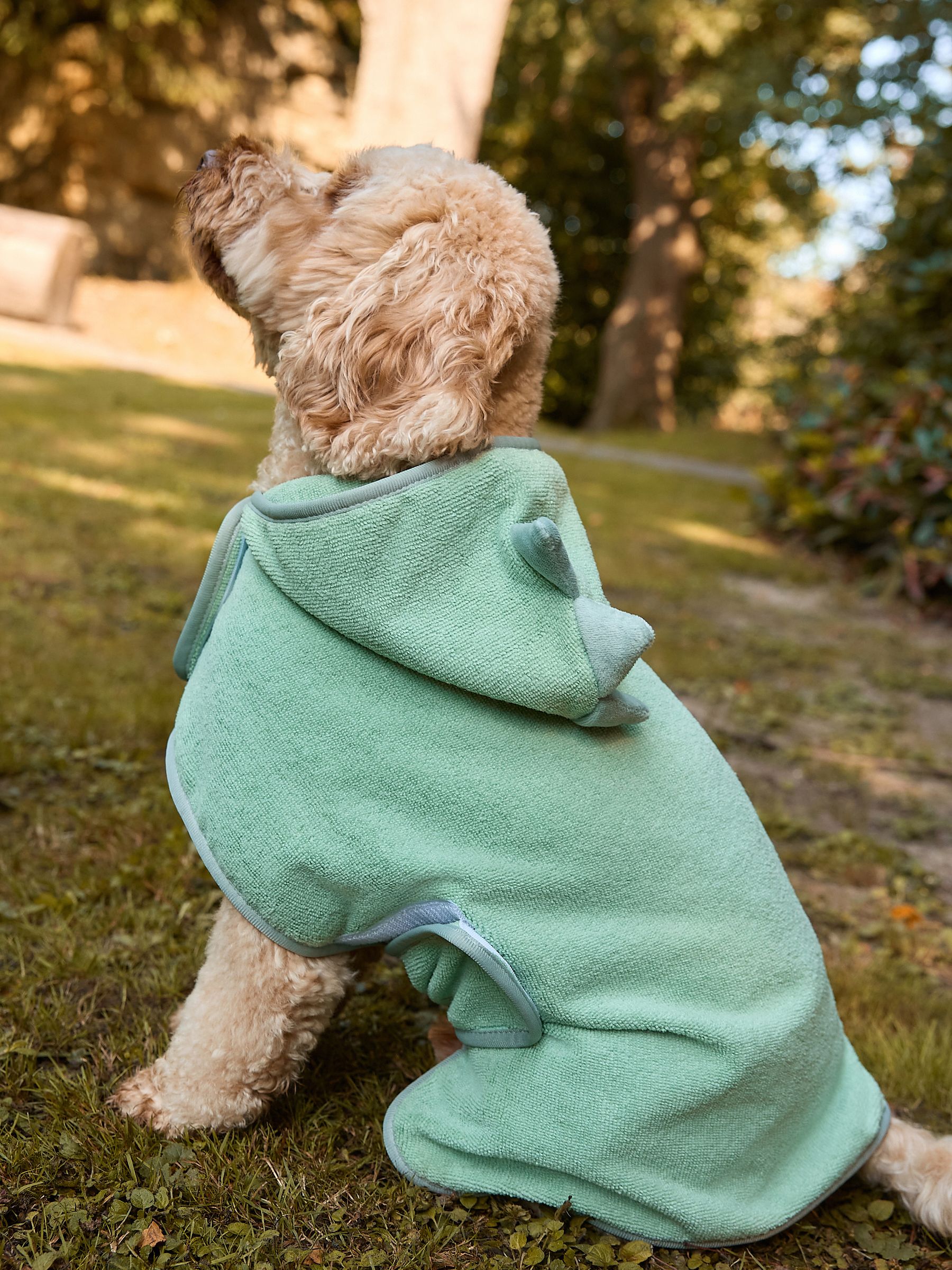 Buy Green Dinosaur Pet Towel Robe from Next USA