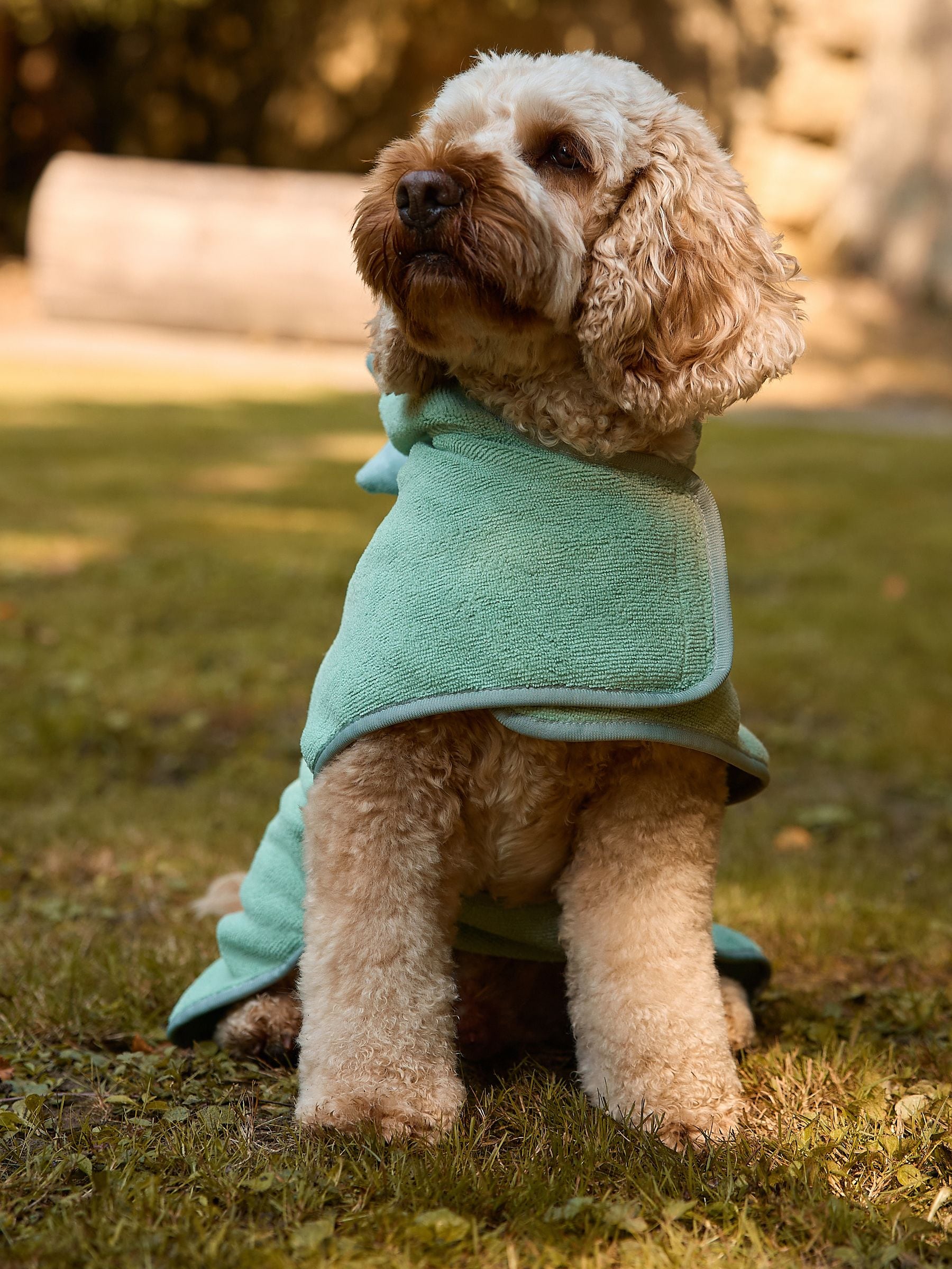 Buy Green Dinosaur Pet Towel Robe from Next USA