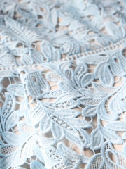 Mint Velvet Blue Lace Midi Dress - Image 10 of 10