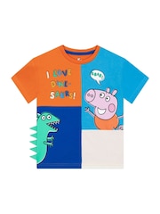 Character Blue Peppa Pig George Pig And Dinosaur T-Shirt And Shorts Outfit Set - Image 2 of 12