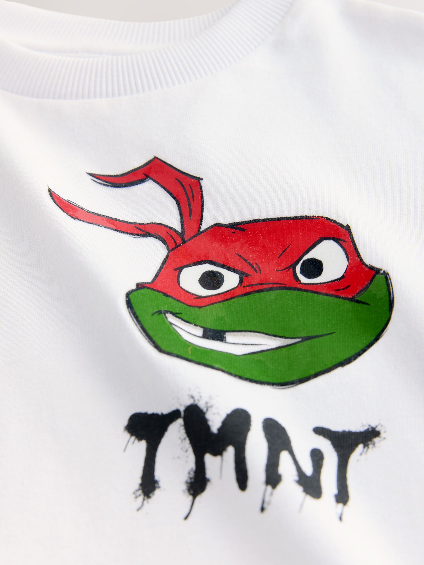 Buy White Teenage Mutant Ninja Turtles T-Shirt (3-16yrs) from the Next ...