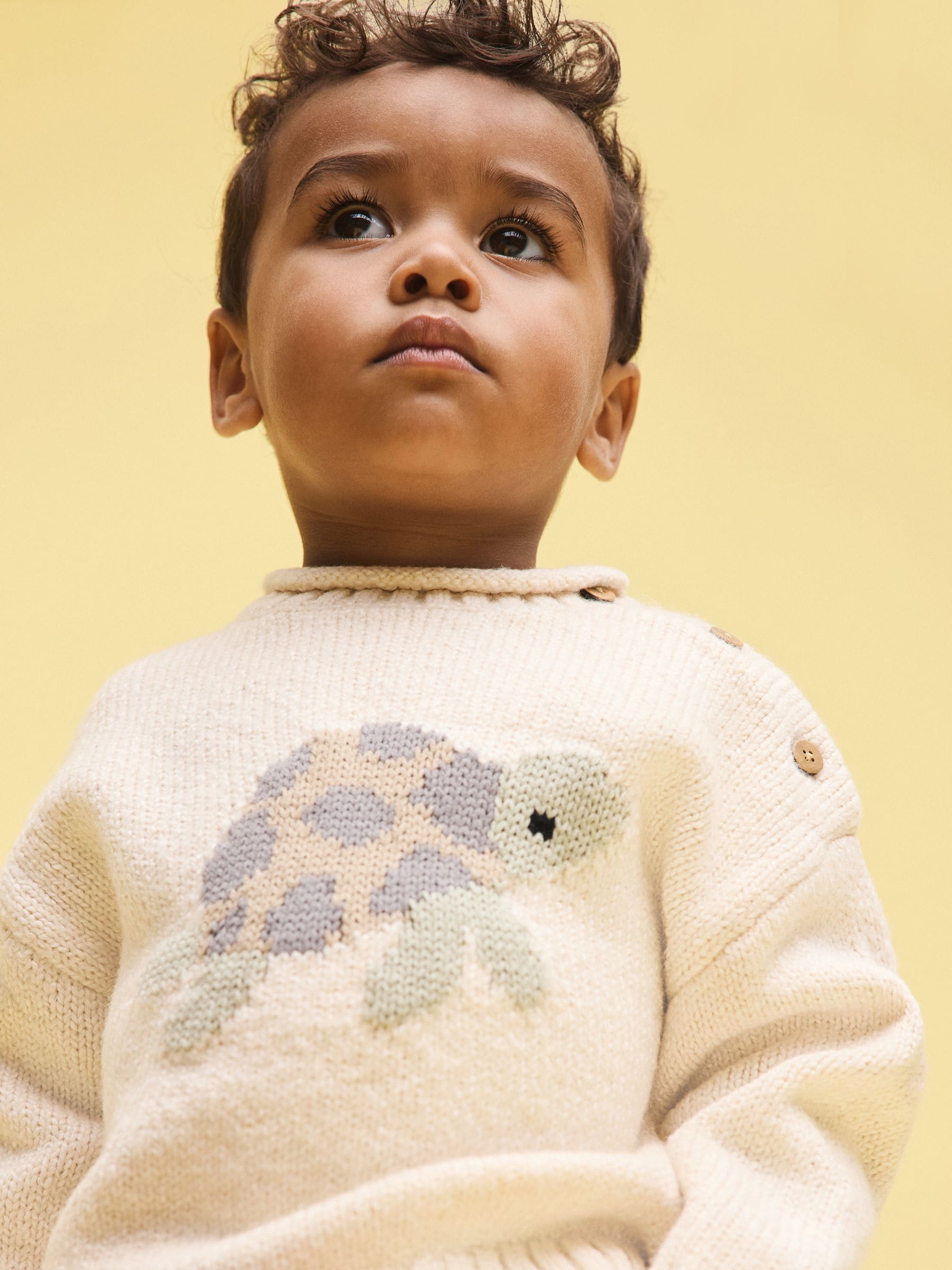 Buy Cream Turtle Character Knitted Crew Neck Jumper (3mths-7yrs
