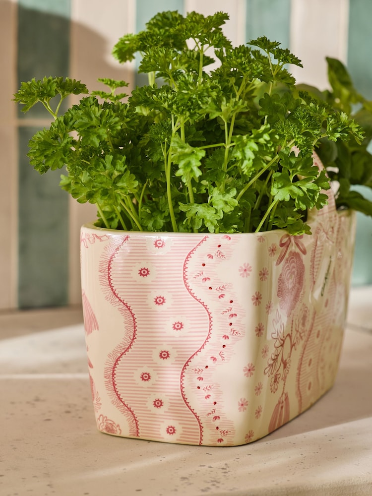 Buy Cath Kidston Pink Spitalfields Planter from Next Austria