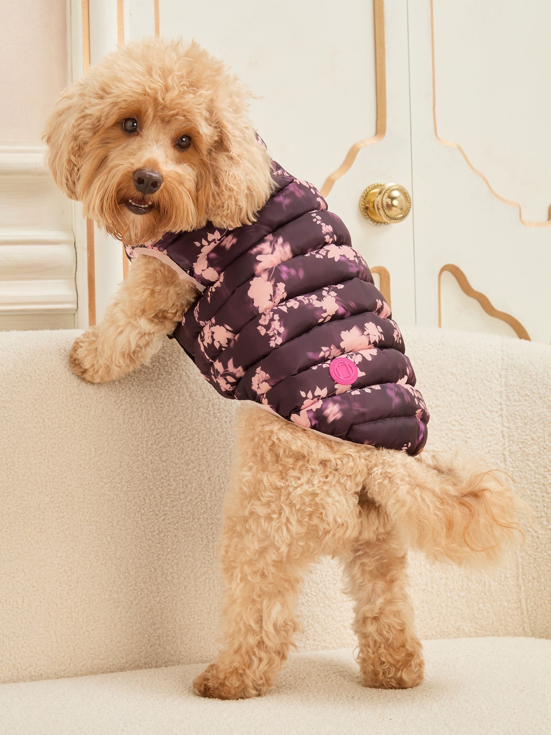 Buy Lipsy Burgundy Floral Reversible Dog Puffer Jacket from Next USA