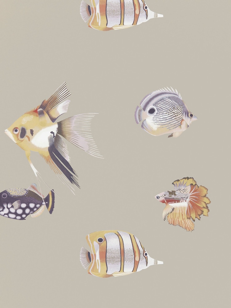 Harlequin Mandarin Fig Kamanu Idyllic A4 Wallpaper Sample - Image 1 of 1