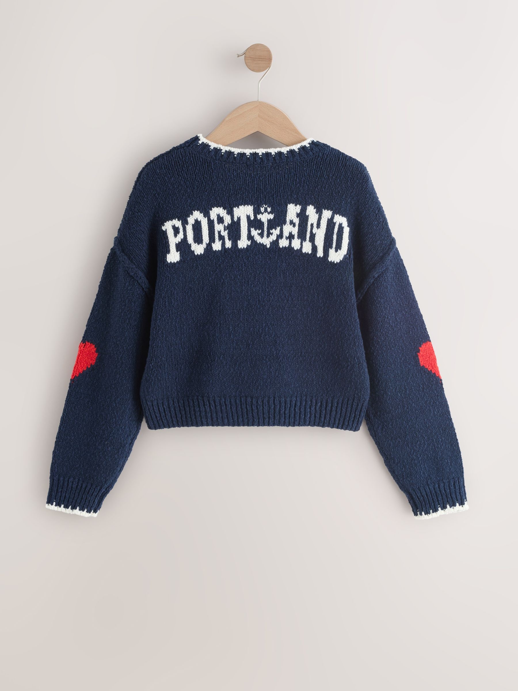 Buy Navy Lobster Jumper (3-16yrs) from Next USA