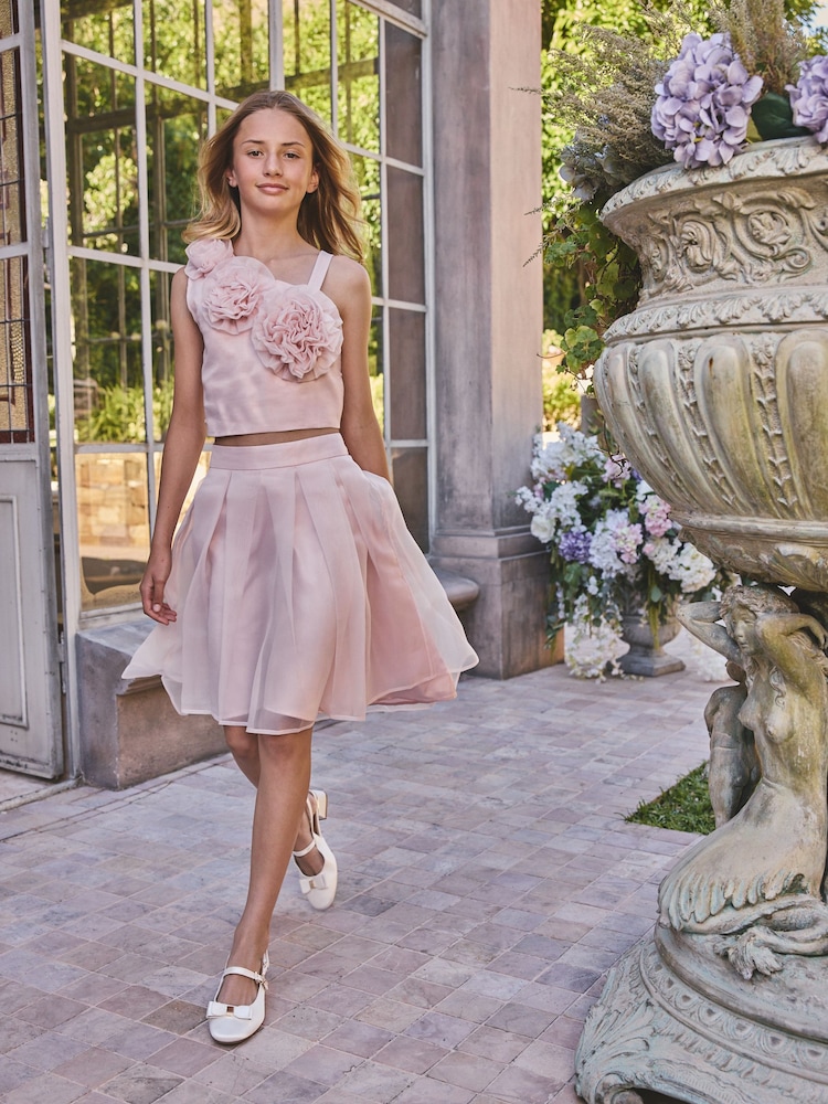 ted baker rose gold dress Ted Baker Floral Pleated A-Line Dress Pink Multicolor