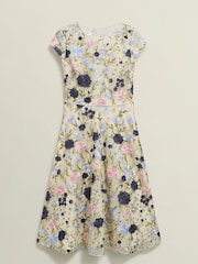 Hobbs Natural Petite Tia Dress - Image 4 of 4