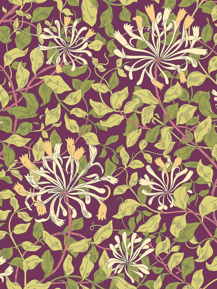 Hoopla Walls Aubergine Honeysuckle Leaf Trail 10M Wallpaper - Image 2 of 2