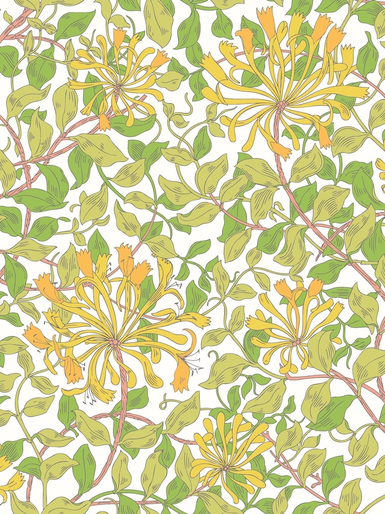 Hoopla Walls Sunshine Yellow Honeysuckle Leaf Trail 10M Wallpaper - Image 2 of 2