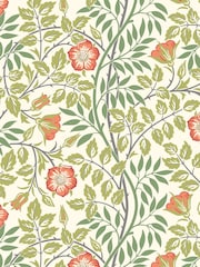 Hoopla Walls Coral Pink Rosehip Trial 10M Wallpaper - Image 2 of 2