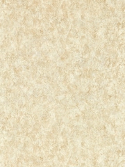 Clarke & Clarke Sahara Folius Expressions Performance 10M Wallpaper - Image 1 of 2