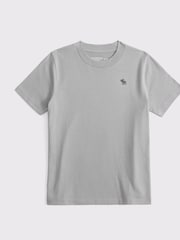 Verde - Abercrombie & Fitch Essential Icon Crew T-Shirt - Imagen 1 de 1