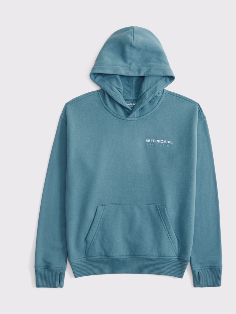 Abercrombie & Fitch Blue Logo Popover Hoodie - Image 1 of 2