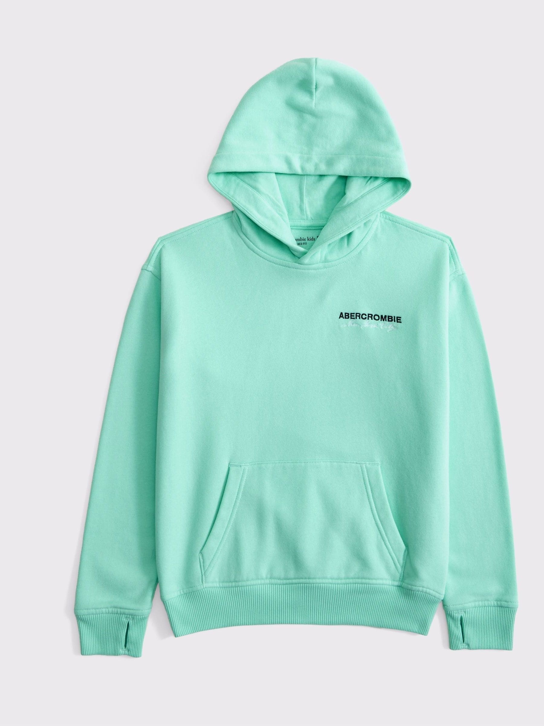 Buy Abercrombie & Fitch Green Logo Popover Hoodie from Next Canada