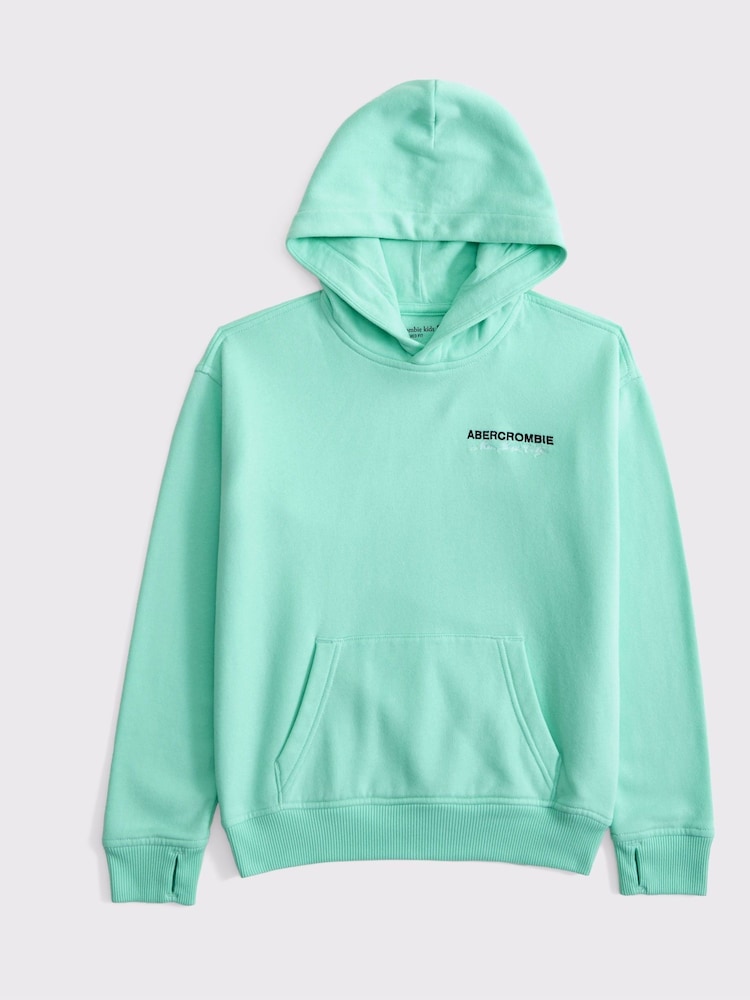 Abercrombie & Fitch Green Logo Popover Hoodie - Image 1 of 2