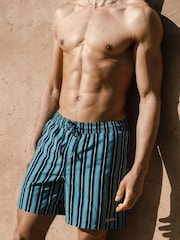 Chelsea Peers Blue Stripe Print Swim Shorts - Image 2 of 5