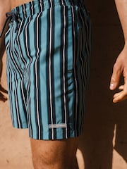 Chelsea Peers Blue Stripe Print Swim Shorts - Image 3 of 5