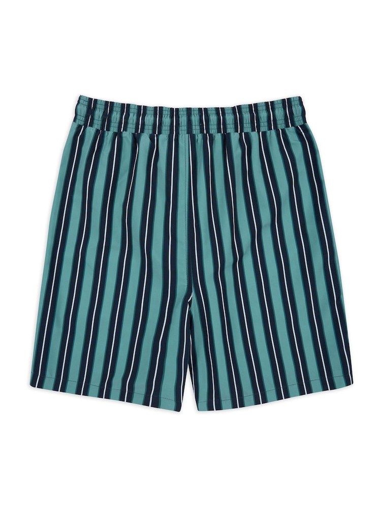 Chelsea Peers Blue Stripe Print Swim Shorts - Image 5 of 5