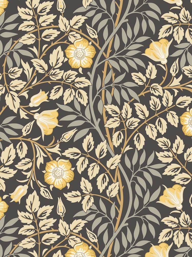 Hoopla Walls Chalkboard Rosehip Trial A4 Wallpaper Sample - Image 1 of 1