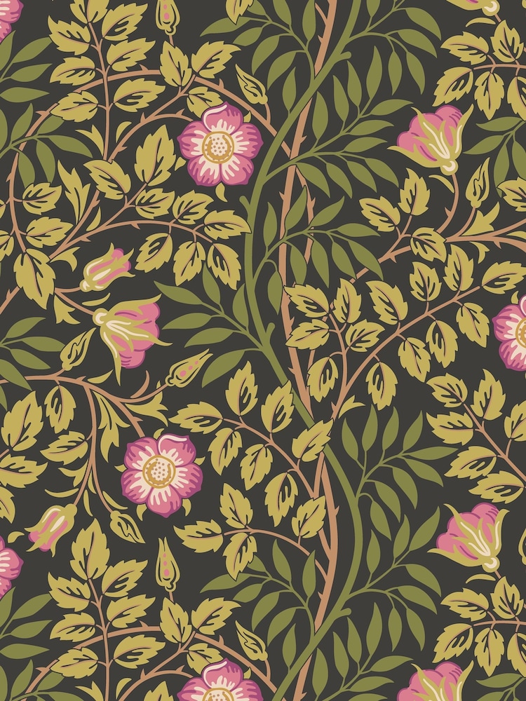 Hoopla Walls Aubergine Rosehip Trial A4 Wallpaper Sample - Image 1 of 1 Hoopla Walls Aubergine Rosehip Trial A4 Wallpaper Sample - Image 1 of 1