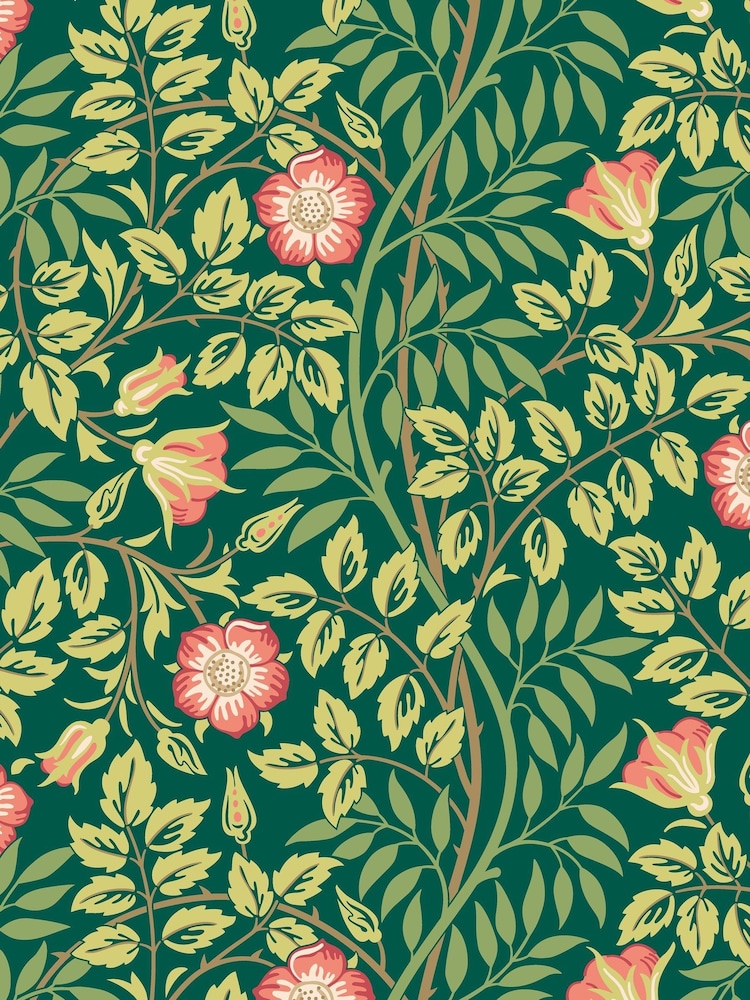 Hoopla Walls Forest Green Rosehip Trial A4 Wallpaper Sample - Image 1 of 1 Hoopla Walls Forest Green Rosehip Trial A4 Wallpaper Sample - Image 1 of 1