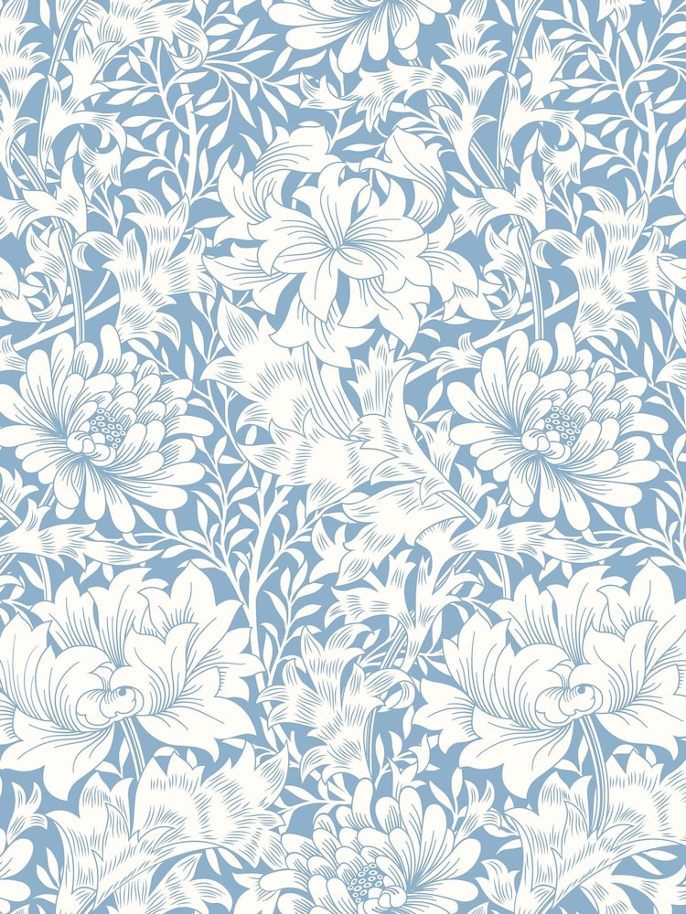 Hoopla Walls Wedgewood Blue Chrysanthemum A4 Wallpaper Sample - Image 1 of 1 Hoopla Walls Wedgewood Blue Chrysanthemum A4 Wallpaper Sample - Image 1 of 1