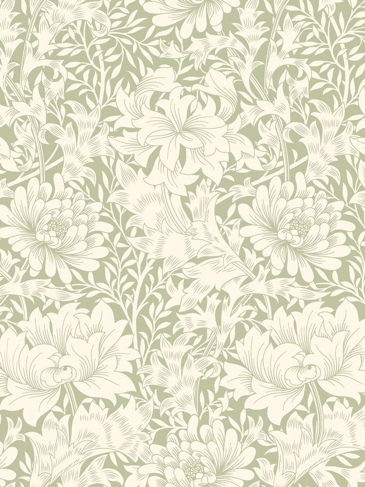 Hoopla Walls Sage Green Chrysanthemum A4 Wallpaper Sample - Image 1 of 1 Hoopla Walls Sage Green Chrysanthemum A4 Wallpaper Sample - Image 1 of 1