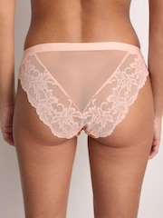 Cream Print/Navy 2 Pack Knickers - Image 4 of 10