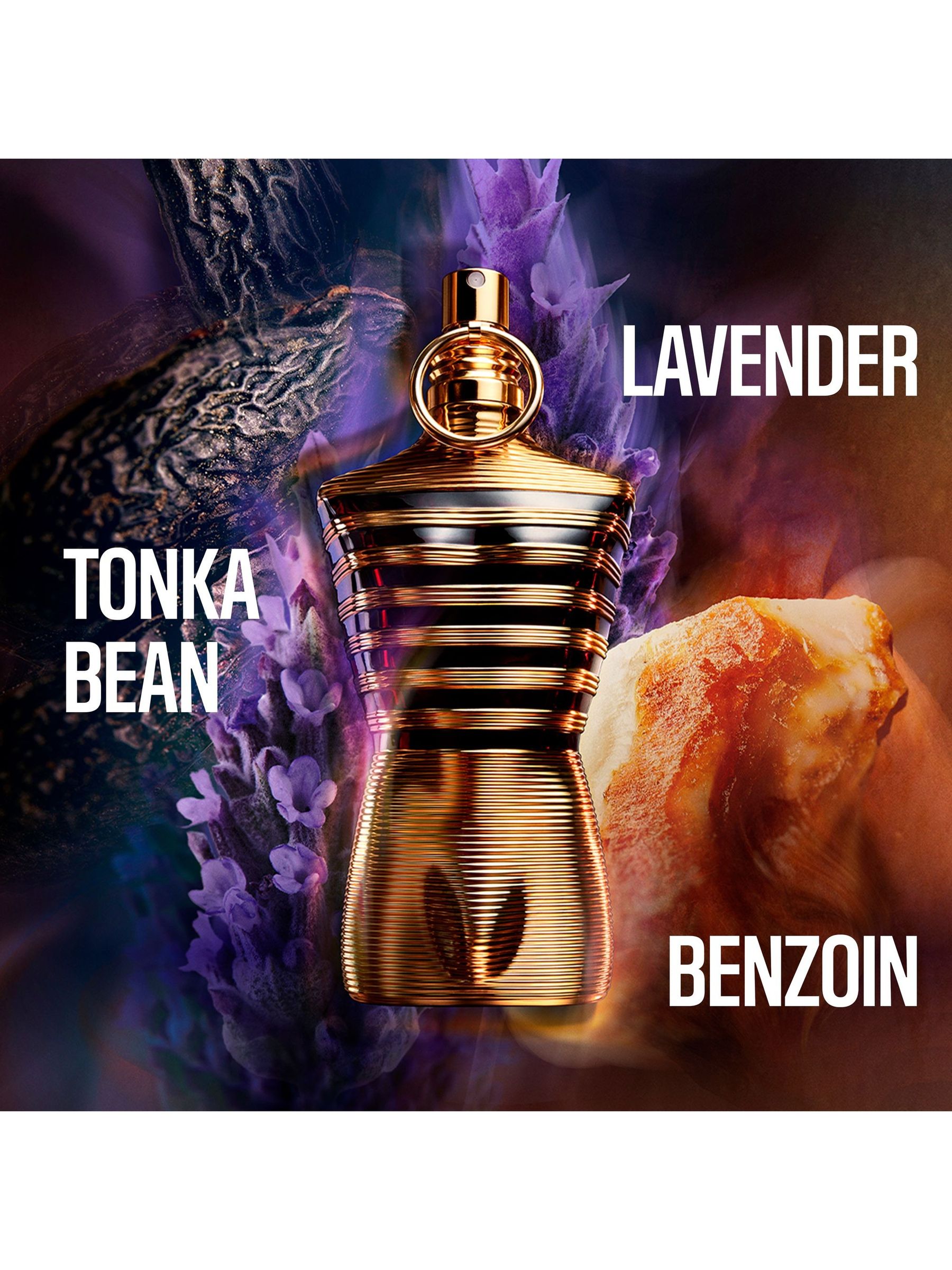 Buy Jean Paul Gaultier Le Elixir Fragrance from the Next UK online