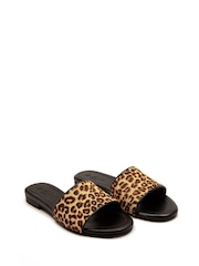 Off The Hook Animal Strand Buckle Clog Sandals - Image 1 of 6