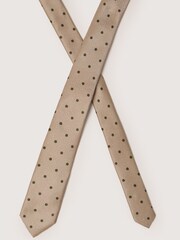 Antique Rogue Natural Polka Dot Tie - Image 3 of 4