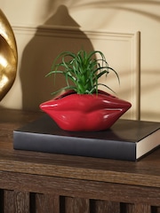 Green Artificial Succulent in Red Lips Vase - Image 1 of 3