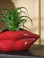 Green Artificial Succulent in Red Lips Vase - Image 2 of 3
