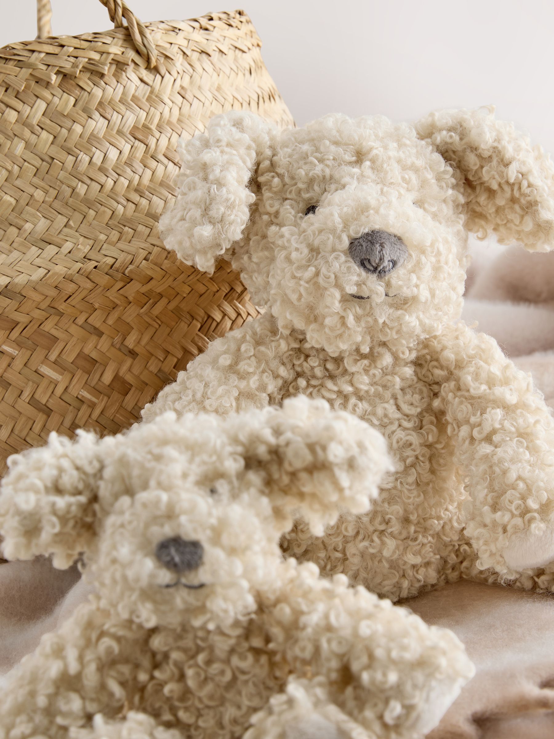 Buy Neutral Charlie the Cockapoo Soft Plush Toy from the Next UK online ...