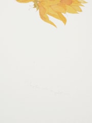 Sophie Allport Off White Sunflower Watercolour Print - Image 3 of 3