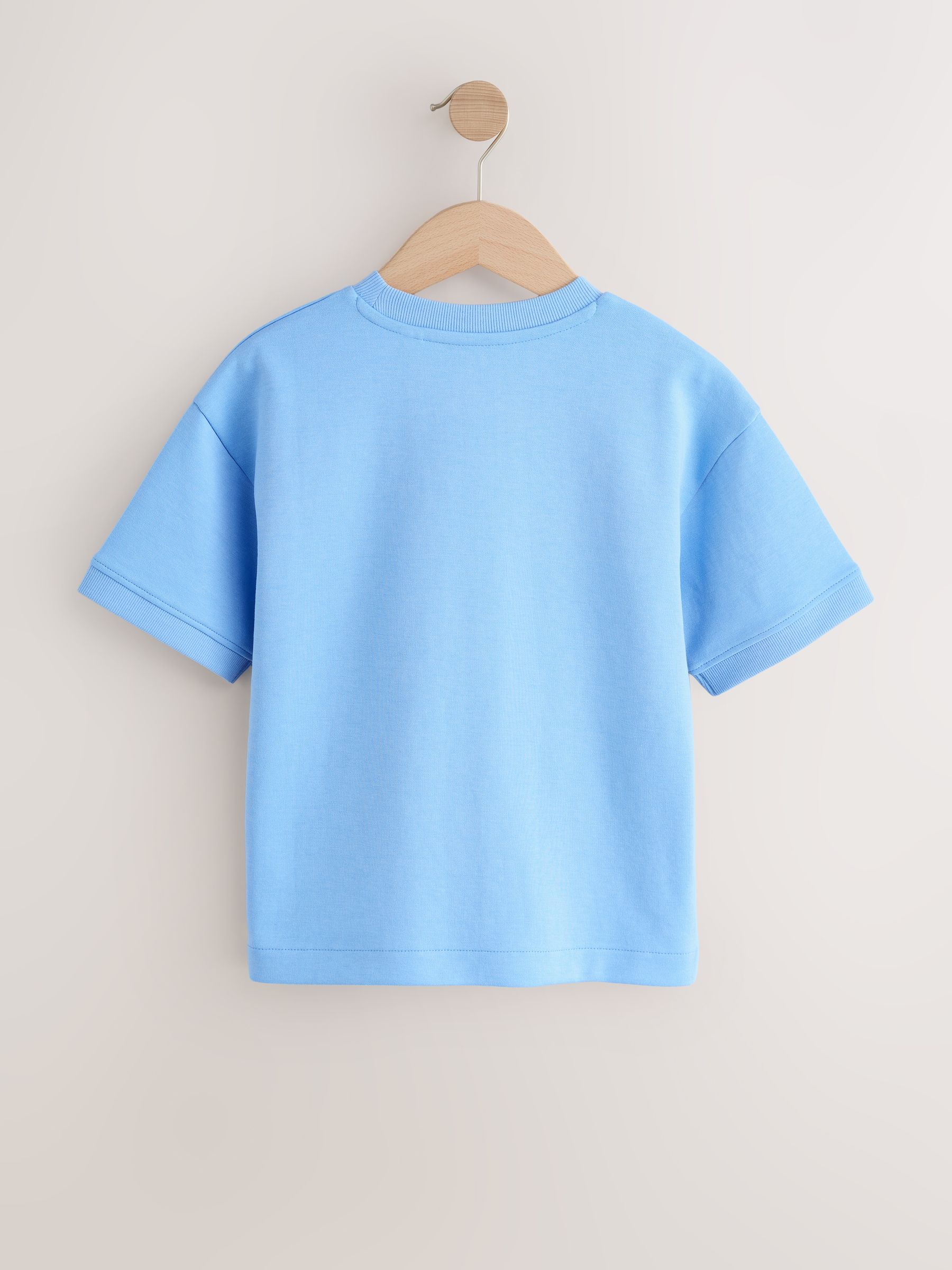 Next：日本 ライトブルー - グラフィック ヘビーウェイト 半袖 Tシャツ
