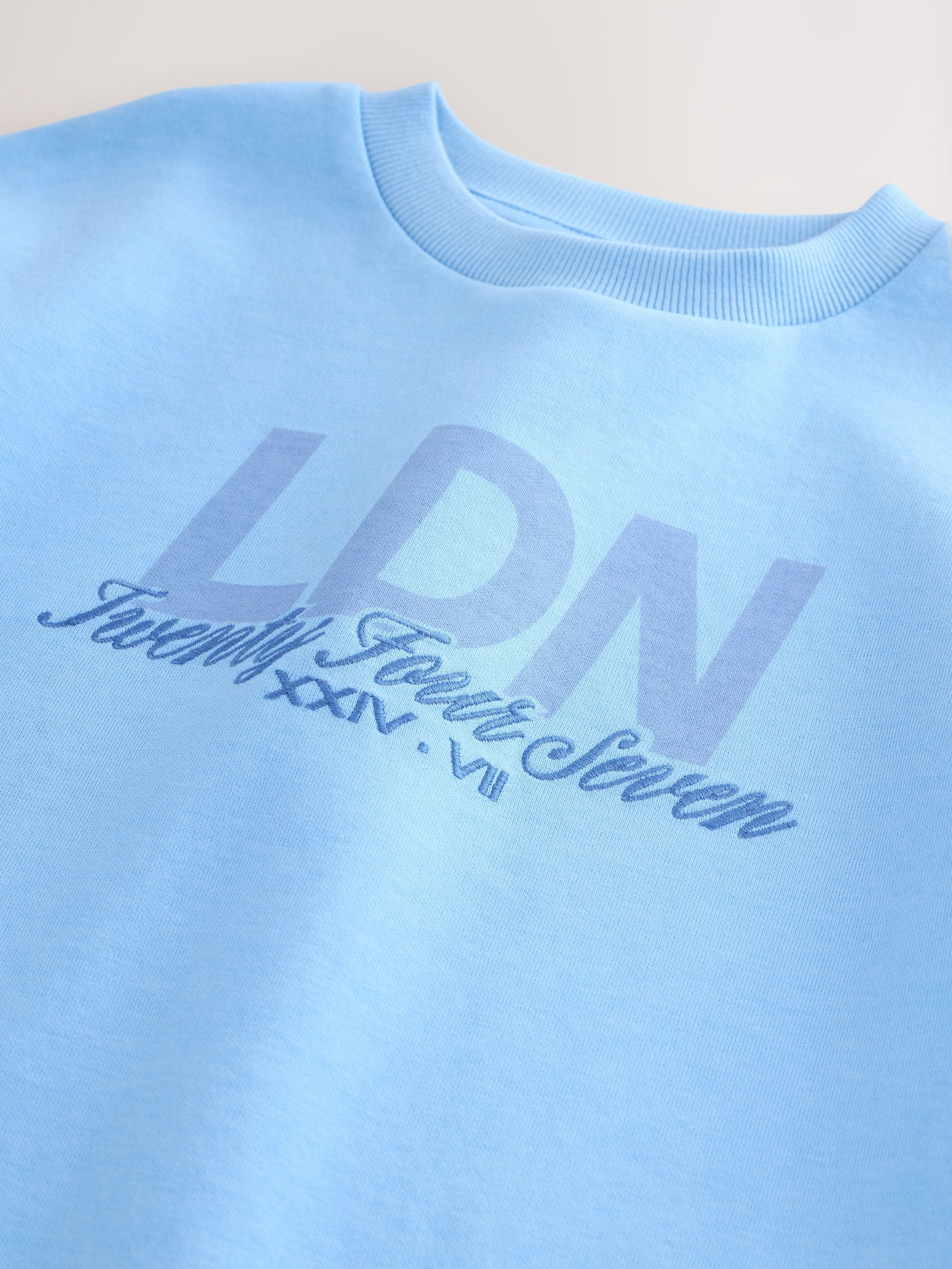 Next：日本 ライトブルー - グラフィック ヘビーウェイト 半袖 Tシャツ