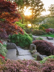 Virgin Experience Days RHS Garden Wisley Visit for Two Adults and Two Children - Image 1 of 2