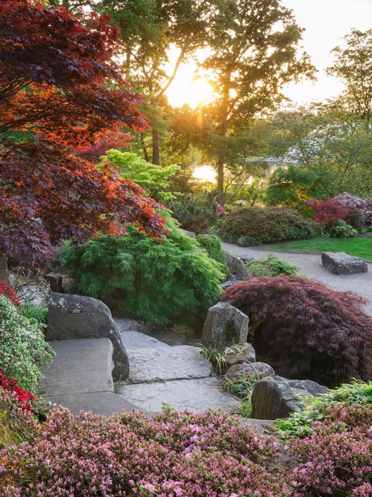 Virgin Experience Days RHS Garden Wisley Visit for Two Adults and Two Children - Image 1 of 2
