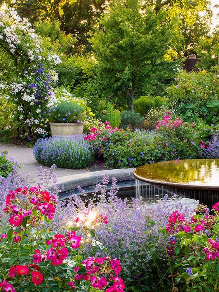 Virgin Experience Days RHS Garden Wisley Visit and Afternoon Tea for Two - Image 1 of 2