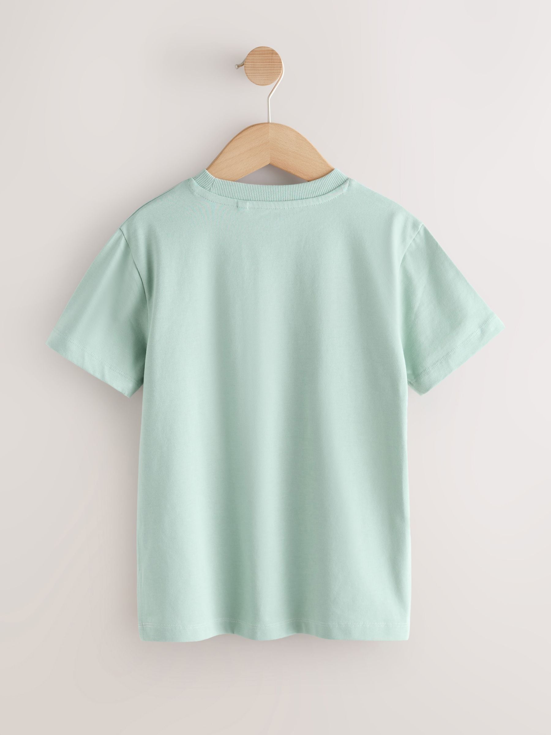 Buy Mineral Green/Ecru - Colourblock Short Sleeve T-Shirt (3-16yrs