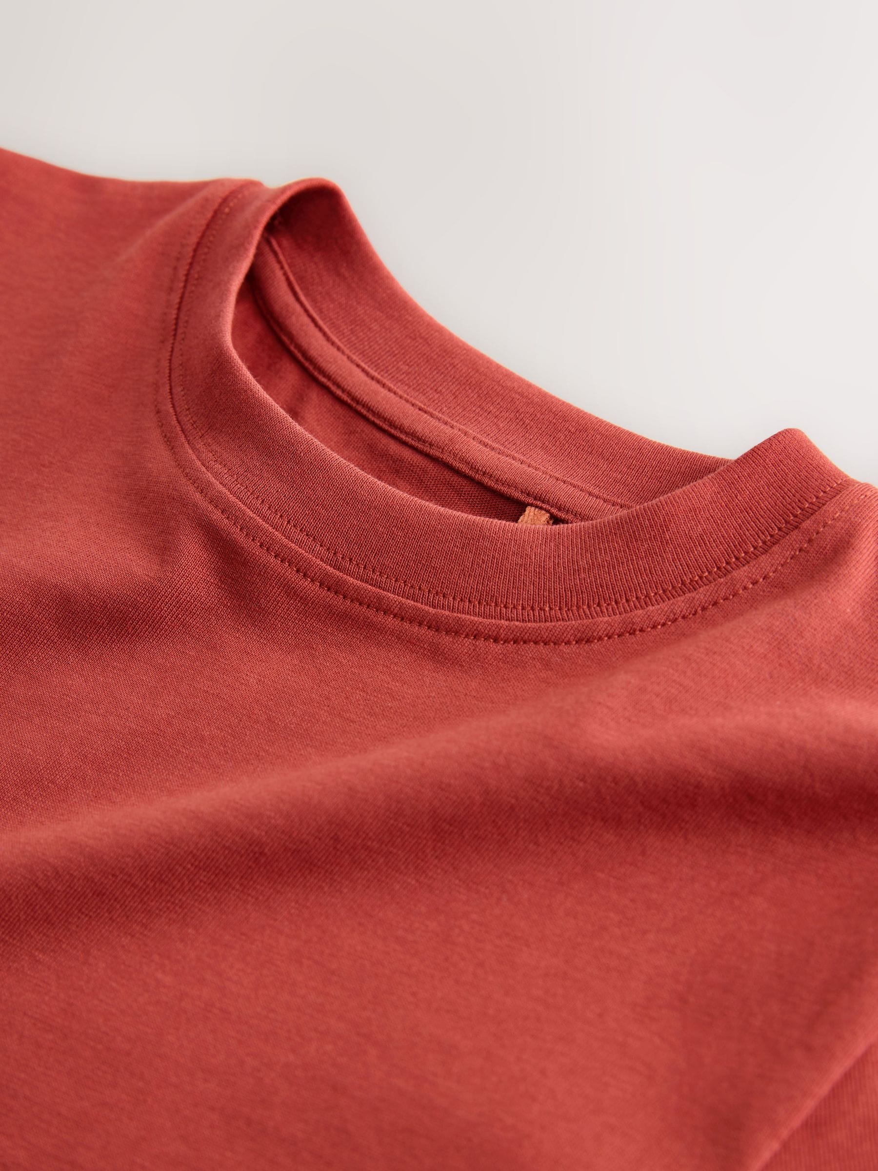 Buy Rust Red Regular Fit Short Sleeve T-Shirt (3-16yrs) from Next USA