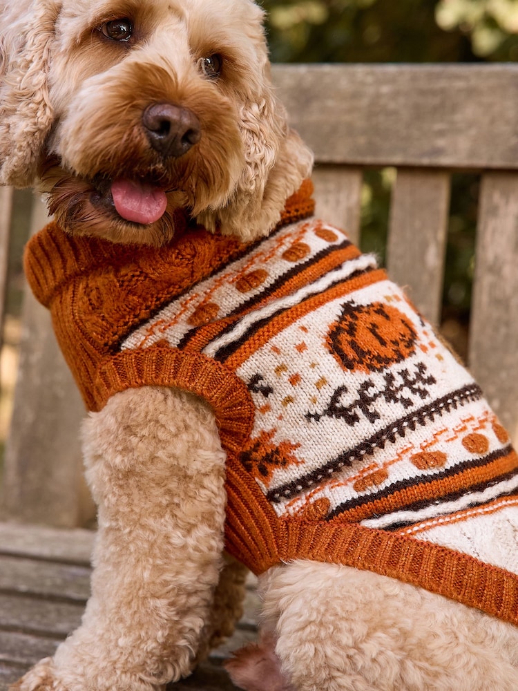 Buy Orange Halloween Pumpkin Cable Knit Dog Jumper With Wool from