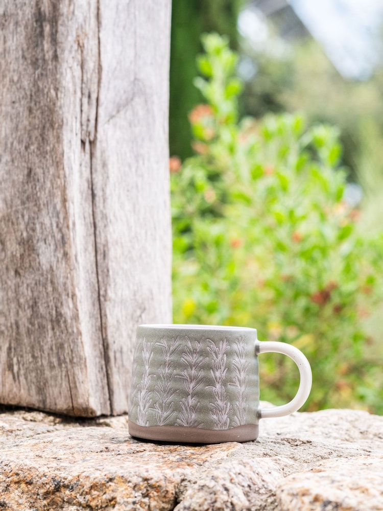 Purer Home X Eden Project Set of 4 Red Thyme Mugs - Image 1 of 2