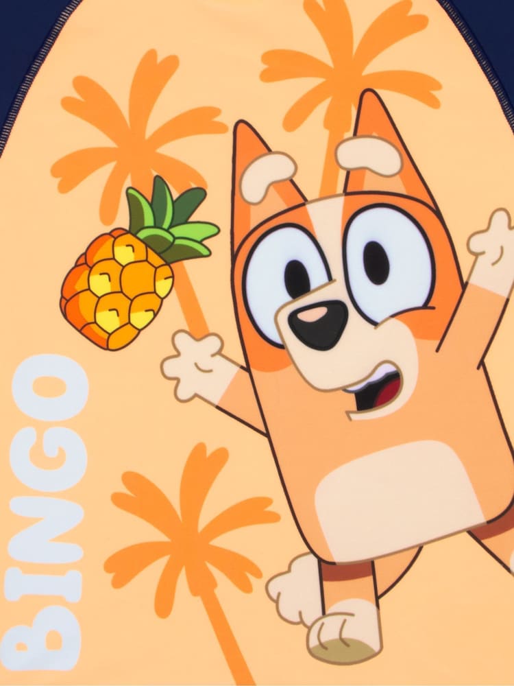 Character Orange Bingo Swim Shorts And Rash Guard - Image 6 of 13